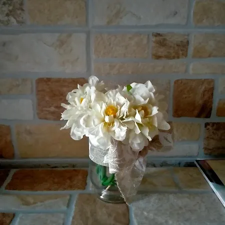 Domus Annae Apartament